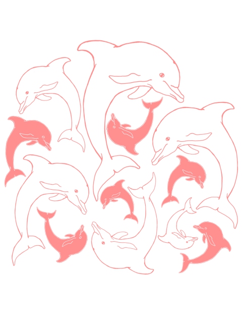 Dolphins 